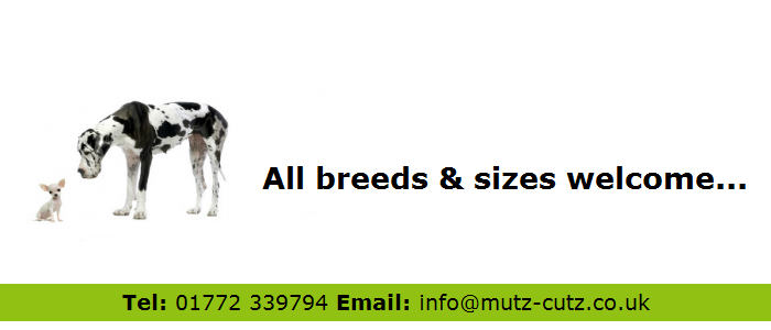 Mutz Cutz Dog Grooming Spa
